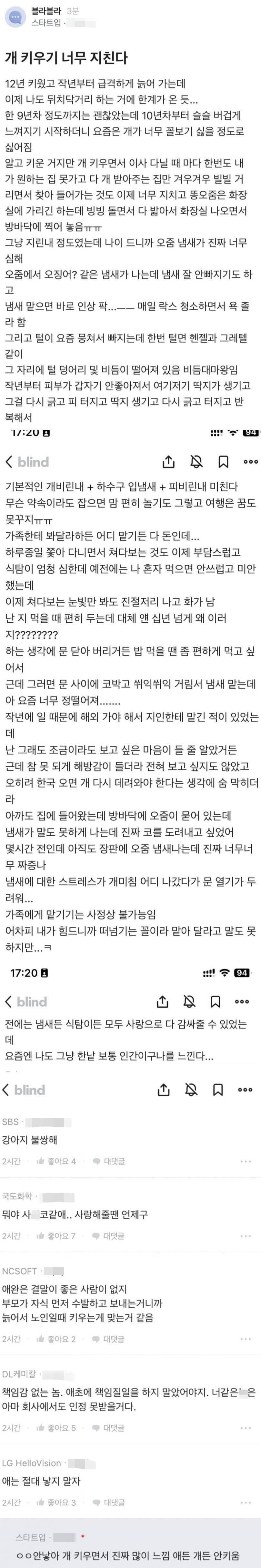 노견이 되니 키우기 지친다는 분
